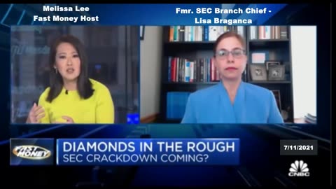 Melissa Lee with Former SEC Branch Chief talking about market manipulation is illegal