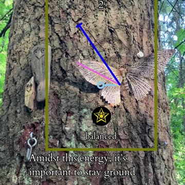 Evolving Emotions | Path and Tarot Reading