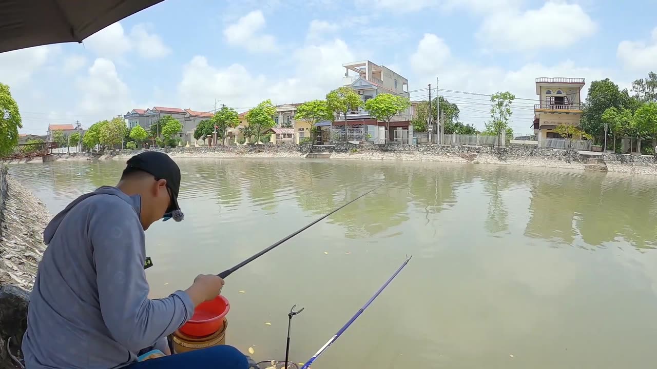 Bowfin Fly Casting in Lake Swamp Zones