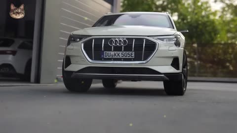 Full Audi Car Collection 118 Scale Servicing at Audi Workshop Diecast Model Cars1