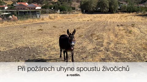 Příčiny požárů na Vaší dovolené