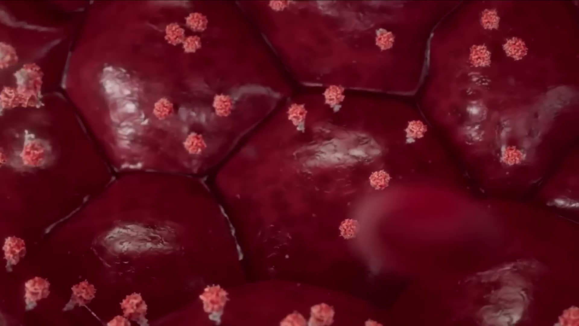 Dr. John Campbell | Inside mRNA vaccines: Spike and disease