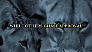 Road To Success - A man with no friends or small cirlce...