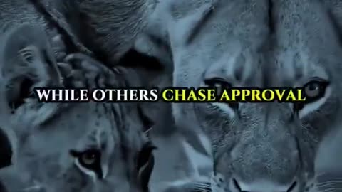 Road To Success - A man with no friends or small cirlce...