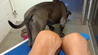 VID_20250921_174015334
