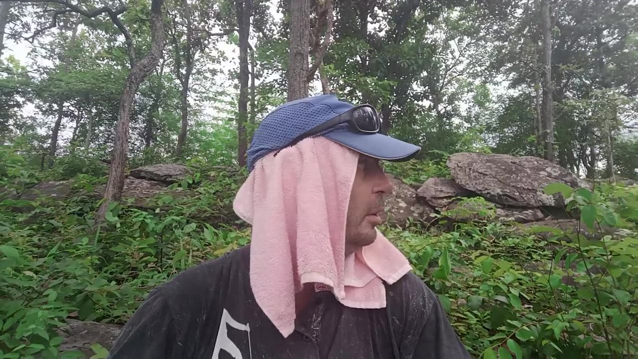 Vlog # 45 My plan until the next test - Fenbendazole, milk thistle, step count