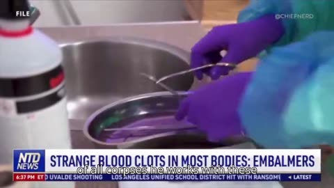 Fiber Clot Report by NTD News, 2024