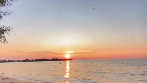 Sun, Sand, and Delicious Food: A Beach Dining Adventure"