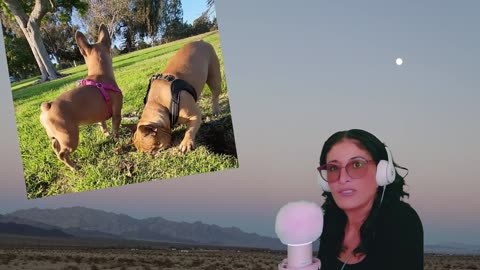 #AI TAKEOVER 2.0 #1 - Live from Mojave Desert!