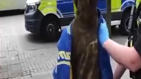 Fuck you white bitch