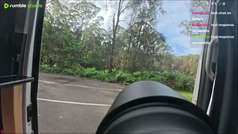 Shooting birds