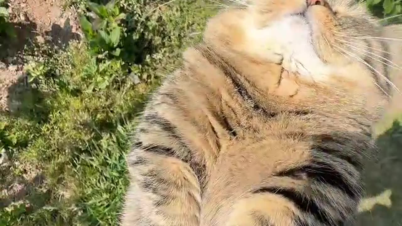 😊