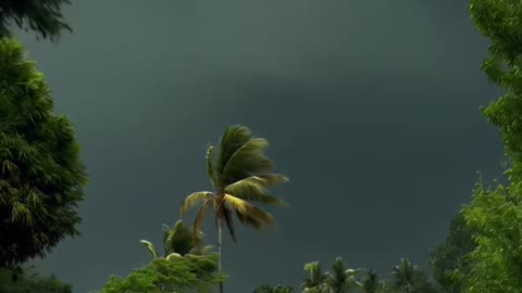 Natureee