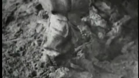 German Newsreel 586 - November 26, 1941