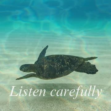 Nature speaks to you if you listen carefully