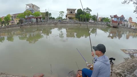 Minnow Fly Casting in Stream Shallows