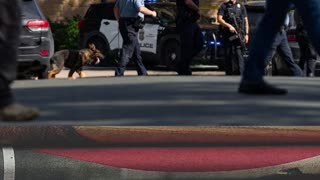 The Dark Psychology of Mass Shooters: How They're Connected 🧠💔
