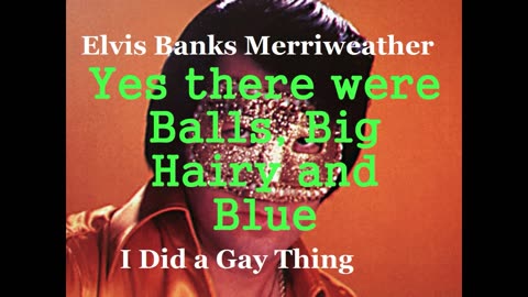 Elvis I Did A Gay Thing
