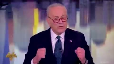 Chuck Schumer says he wakes up at 3am thinking about Elon Musk