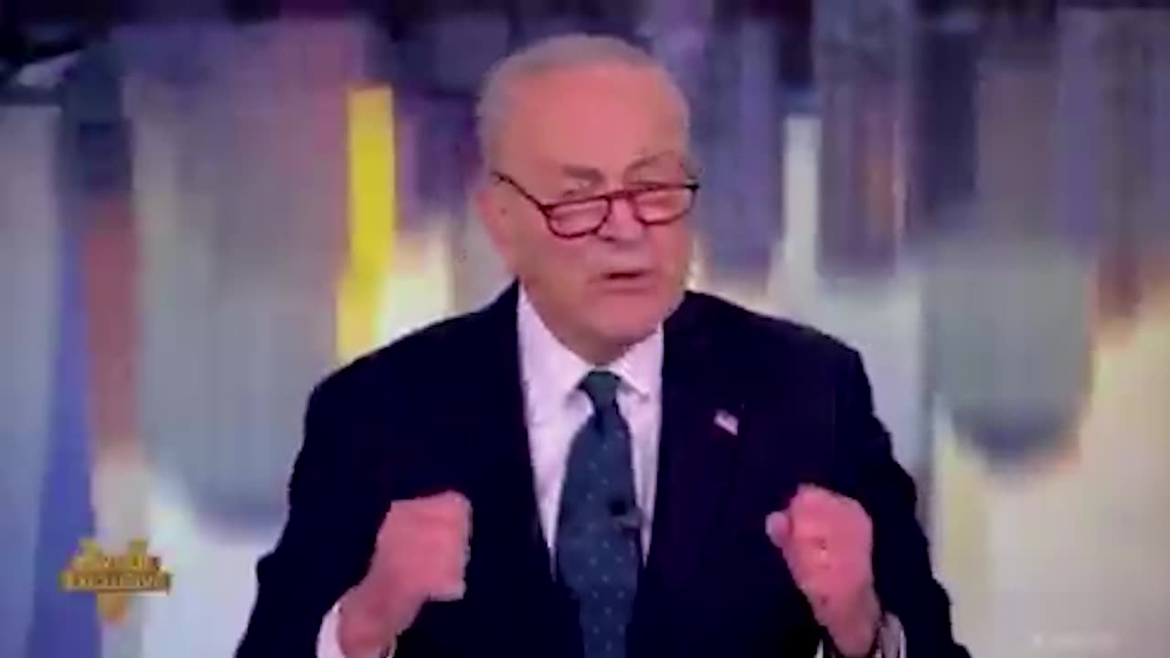 Chuck Schumer says he wakes up at 3am thinking about Elon Musk