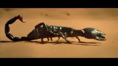 ⚔️ The Scorpion King Sells His Soul to Anubis | Epic Deal with the God of Death 🔥