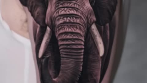 WIP Majestic Elephant 🐘 - Jose Contreras in TEXAS 👑. #tattoo #inked #texastattooartist #tattooideas