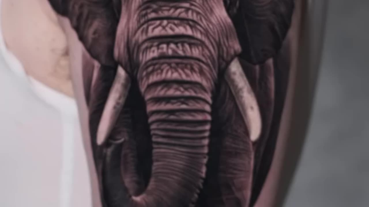 WIP Majestic Elephant 🐘 - Jose Contreras in TEXAS 👑. #tattoo #inked #texastattooartist #tattooideas