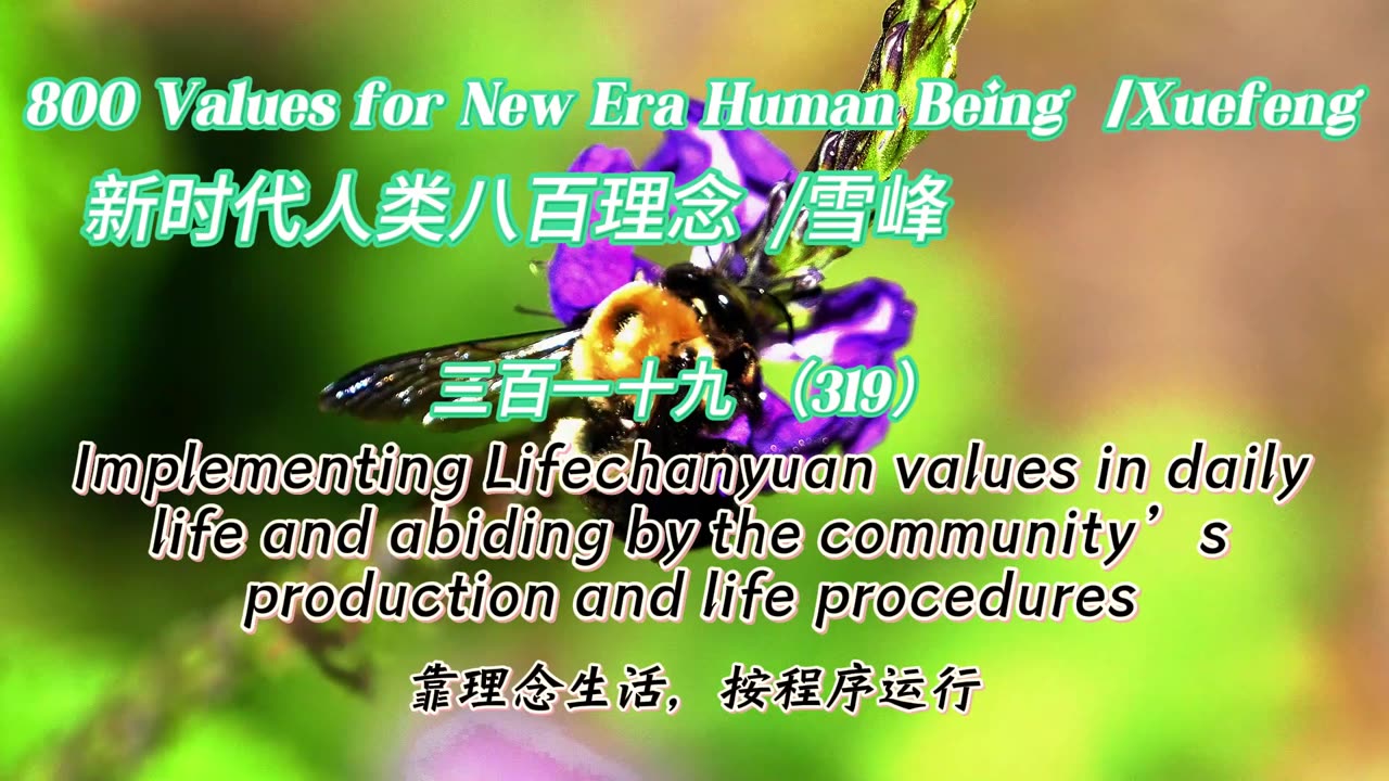 800 Values for New Era Human Being(319)