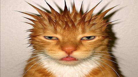 When Cats Go Full IQ Mode – You Won’t Believe How Smart They Are