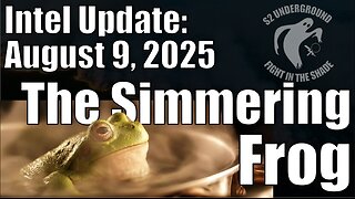 Intel Update - August 9 - The Simmering Frog