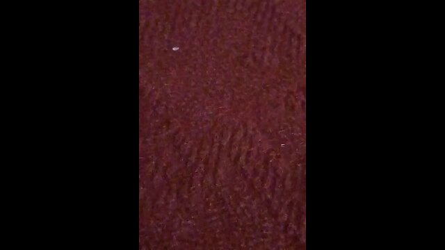 satisfying Video