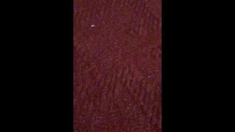 satisfying Video