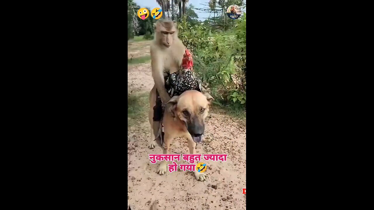 entertainment