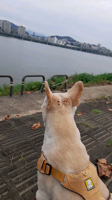 20250909. God Is Love.