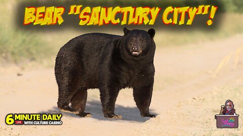 Bear "Sanctuary City" - 6 Minute Daily - October 24th