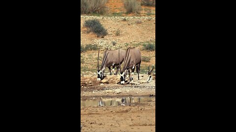 south africa travel, nature