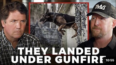 The Amazing Story of The Dog Who Caught Osama Bin Laden