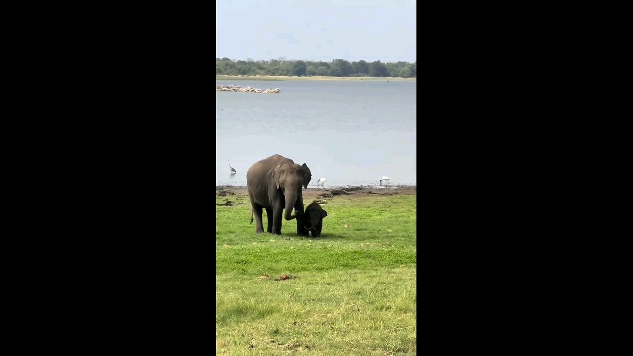 Welcome to Sri Lanka 🇱🇰