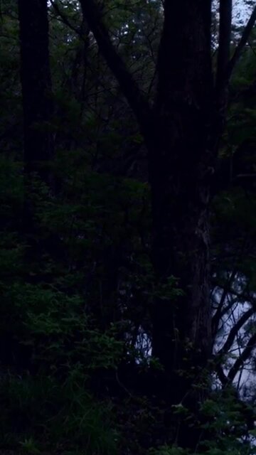 The First Wayfarer's Breakout (AIRWAVES V Trailer 2 Short)