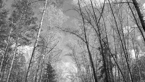 Soft Ambient White Noise | Black Screen | Relax • Breathe • Unwind