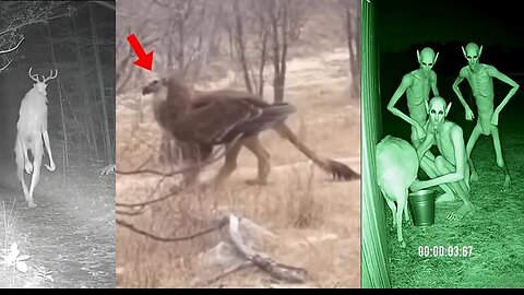 Unknown Creatures Caught On Camera PART 2!