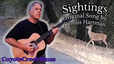 Sightings An Original Song by Dennis Hartman [ Official M/V ] #singersongwriter #originalmusic