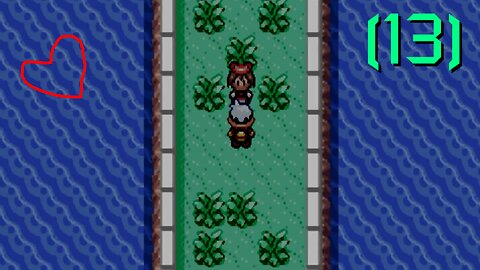 Pokémon Ruby - Walkthrough/Videonávod - 13 - [EN/CZ]