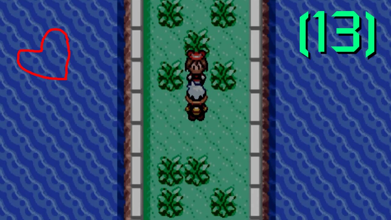 Pokémon Ruby - Walkthrough/Videonávod - 13 - [EN/CZ]