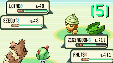 Pokémon Ruby - Walkthrough/Videonávod - 5 - [EN/CZ]