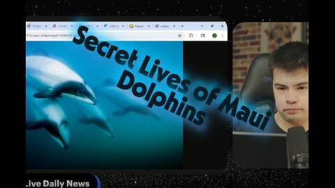 Secret Lives of Maui & Hector's Dolphins
