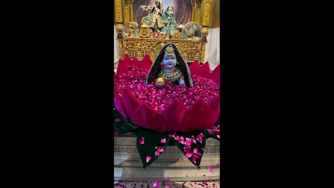 video 🙏🥰🥰