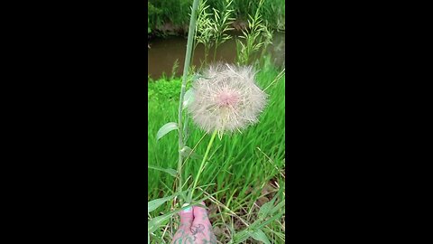 KarmaDharmaDaang🗣️