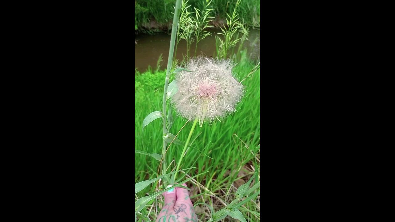 KarmaDharmaDaang🗣️