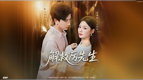 Rescue Mr. Li | She Helped A Fallen CEO Escape The Asylum | 解救厉先生